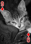Nine of Diamonds