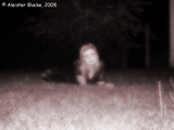 Dsc00105.jpg