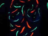 Dsc00048.jpg