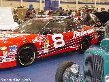 08 - Dale Earnhardt Jr.